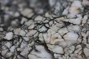 Marbling Prints: Sea rocks abstracts close up modern background high quality big size prints