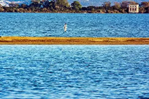 Bird Flight Prints: A seagull soars above a narrow sandbar at Gialova Lagoon