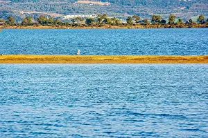 Reflection Lake Prints: A seagull stands alone on a sandbar in the tranquil waters of Gialova Lagoon