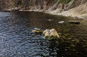 Gaspesie Prints: Seals on a Rock, Canada