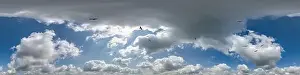 Virtual Reality Prints: seamless cloudy blue skydome 360 hdri panorama view with flock of birds in awesome clouds with zenith for use in 3d