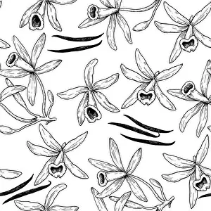 Vanilla Prints: Seamless pattern with vanilla orchid flowers and sticks in engraving vintage style
