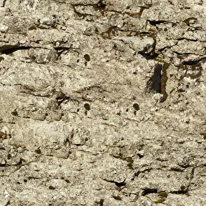 Split Prints: Seamless texture - a surface of a natural stone
