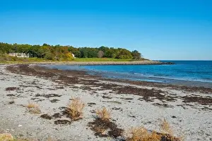 Cape Coast Prints: Seapoint Beach in fall next to Crescent Beach on Gerrish Island in Kittery Point