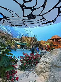 Seawater Prints: SeaWorld Yas Island, Abu Dhabi