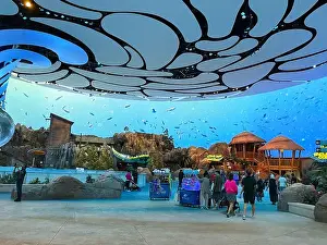 Seawater Prints: SeaWorld Yas Island, Abu Dhabi