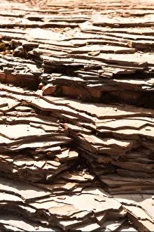 Cambrian Prints: Sedimentary rock at Marble Canyon