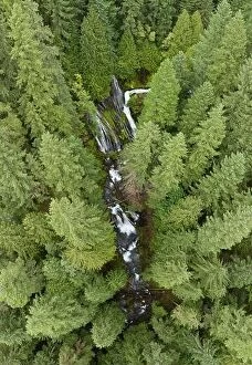 Aerial Landscape Collection: Seen from a bird's eye perspective, the impressive Panther Creek Falls flows through the Gifford