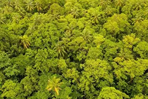 Equator Prints: Seen from a bird's eye view