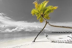 Images Dated 31st October 2019: Selective color tropical beach background as summer landscape with beach swing or hammock