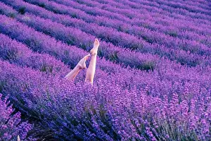 Scent Prints: Selective focus. Slender ballerina girl legs in lavender bushes