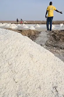Senegal Prints: SENEGAL, Kaolack, salt works in saline