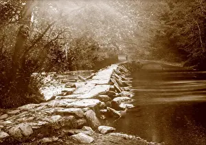 Somerset Prints: Sepia toned photograph taken on a paper negative in a 7 x 5 inch plate camera in October 2018 of the River Barle