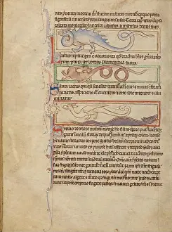 Reptiles Prints: A Seps; A Lizard; A Saura; A Newt. Unknown