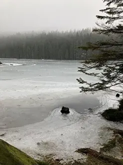 Frozen Lake Prints: A serene pond surrounded by snow-covered trees and majestic rocks