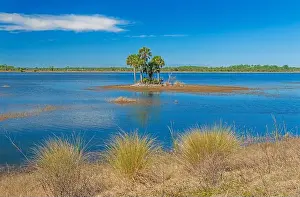 St Marks Prints: Serene Vista in a Wildlife Refuge Wetland in St Marks National Wildlife Refuge in Florida