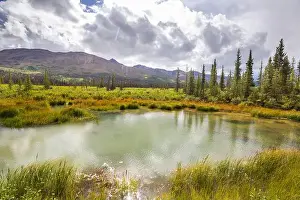 Denali Prints: Serenity lake in Alaskan tundra