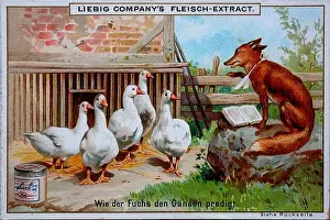 Series In the realm of fable, fox and geese, how the fox preaches to the geese / Serie Im Reich der Fabel, Fuchs und Gänse