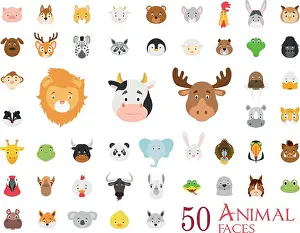 Alligator Prints: Set of 50 Animal Faces in cartoon style