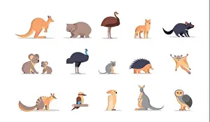 Koala Prints: set cartoon endangered wild australian animals collection wildlife species fauna concept flat horizontal vector