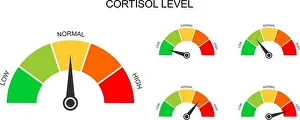 Hormone Prints: Set of cortisol meter gauges. Levels of body stress response hormone
