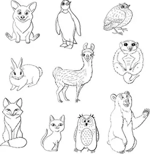 Bunny Prints: Set of cute animals isolated on white background