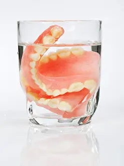 Dentistry Prints: A set of dentures in a glass of water on a white background