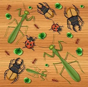 Buzz Prints: Set of different insects on wooden wallpaper background illustration