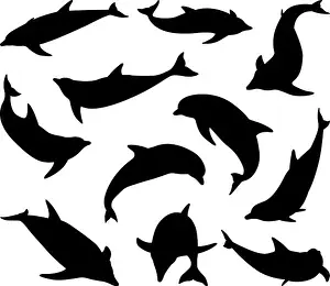 Dolphins Prints: A set of dolphin silhouettes in various positions and from different angles