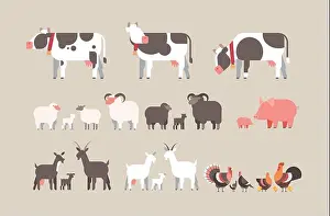 Goat Prints: set farm animal cow goat pig turkey sheep chicken icons different domestic animals collection farming concept flat