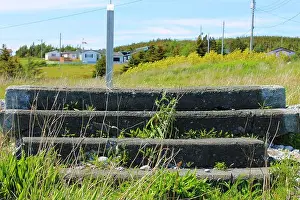 Overgrown Prints: A set of old, concrete stairs in isolation