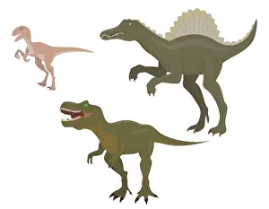 Tyrannosaurus Prints: Set of predatory dinosaurs. Velociraptor, spinosaurus and tyrannosaurus in cartoon style