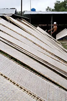 Saigon Prints: Setting drying rack covered with rice paper, Saigon, Vietnam