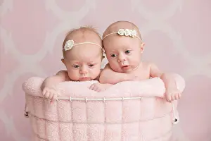 Sisters Prints: Seven week old, fraternal twin baby girls sitting in a wire basket
