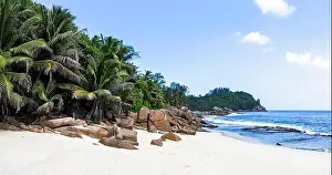 Sunset Beach Prints: Seychelles, Mahe - Anse Bazarca Beach