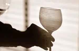 Alcoholic Drink Prints: Shadow of a hand holding a glass of wine