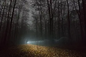 Nightmare Prints: Shadow of man walking on path through foggy winter night forest