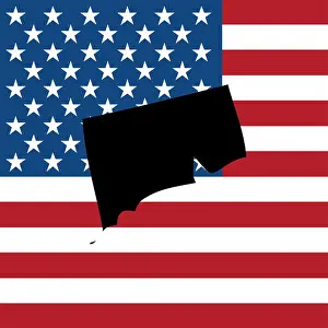 Selected Prints: The shape of the state of xxxxxxxxxxx with the American Flag in the Background