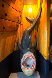 Puerto Prints: Shark Urinal, Marigalante Pirate Ship Tour, Puerto Vallarta, Jalisco, Mexico