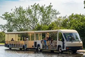 Natural Wonder Prints: The Shark Valley Tram Tour at Everglades National Park, Florida, United States