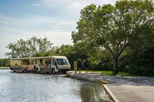Natural Wonder Prints: The Shark Valley Tram Tour at Everglades National Park, Florida, United States