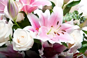 Lilies Prints: A sharp, focused, close up photo of a bouquet of flowers