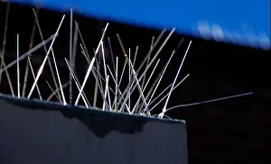Bolt Prints: sharp nails mounted on roof to entrance