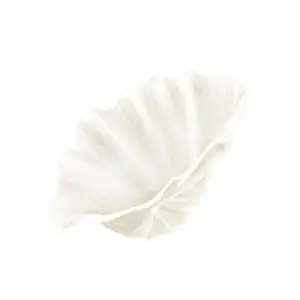 Oyster Prints: The shell of the hippopus clam