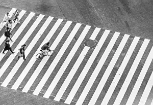 Shibuya Prints: Shibuya Crossing, crossroad, people and cyclists cross zebra crossing