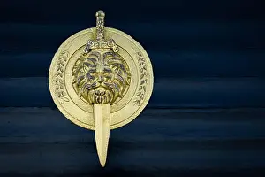 Viking Prints: Shield with lion head isolated on dark wooden background