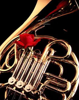 Communicating Prints: SHINING BRASS FRENCH HORN WITH SINGLE RED ROSE - km9979 RCC001 HARS SHINING WINDS DOUBLE HORN FRENCH HORN FRENCH HORNS