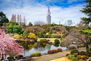 Images Dated 19th March 2014: Shinjuku Gyoen, Tokyo, Japan in the spring