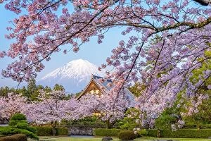 Images Dated 14th April 2017: Shizuoka, Japan during spring