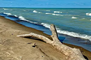 Great Lakes Prints: Shoreline with driftwood Lake Huron Pinery Provincial Park. Grand Bend Ontario Canada